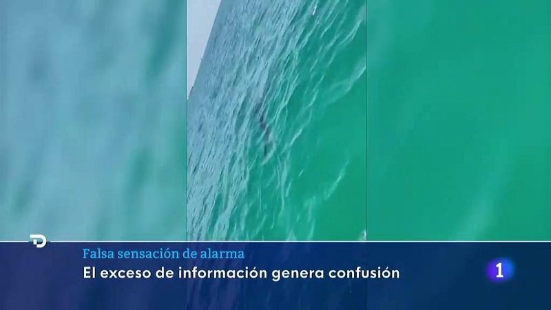 El exceso de información genera confusión y sensación de alarma