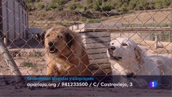 Informativo Telerioja - Informativo Telerioja 2 - 21/07/22