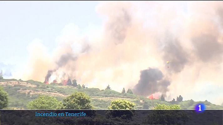 Telecanarias - Telecanarias - 21/07/2022