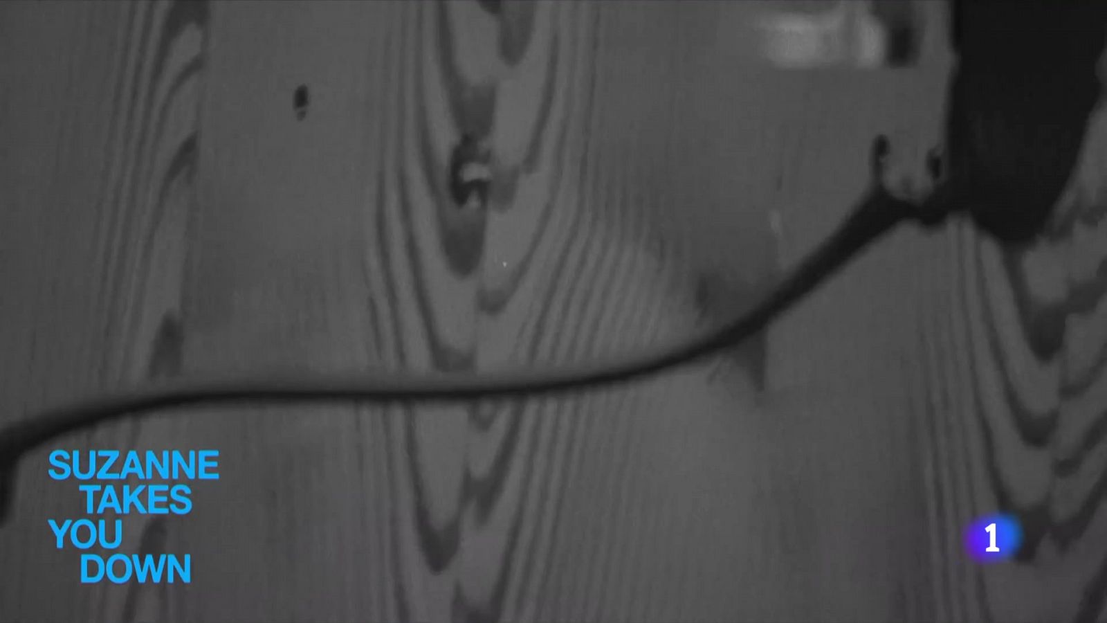 'Tú ve', el nuevo disco del cantante argentino Kevin Johansen | Ver