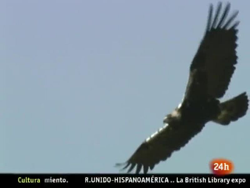  NATURAL: 2010, el Año de la Biodiversidad. (11/01/10).