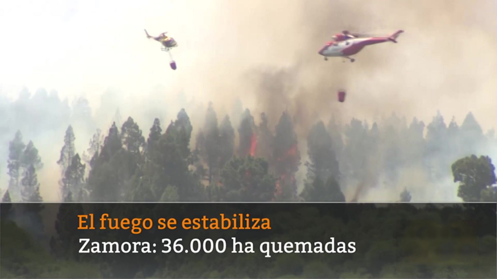 Diario 24 - 22/07/22 (1) - ver ahora