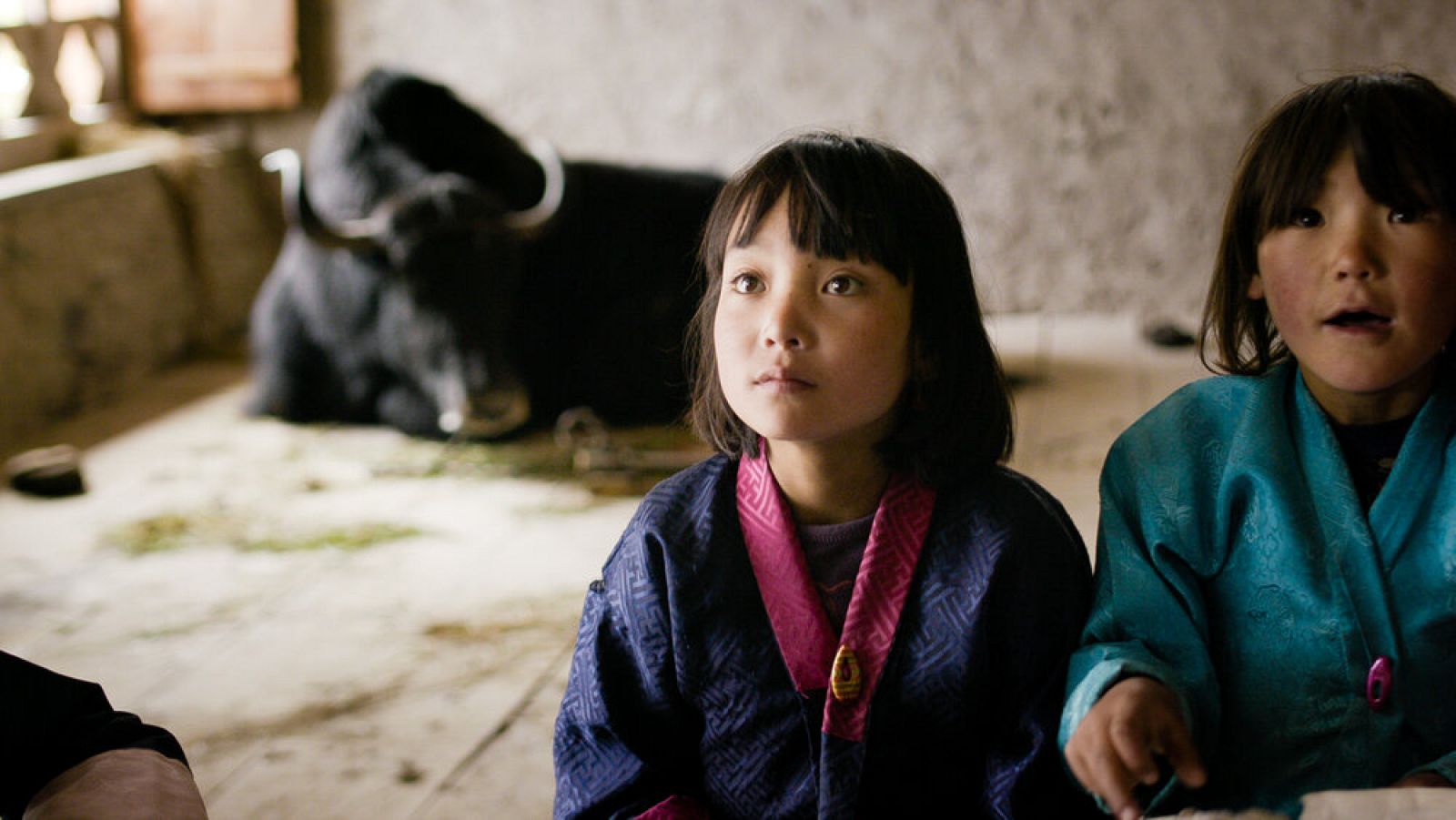 Días de Cine: Lulana, un yak en la escuela. | Ver