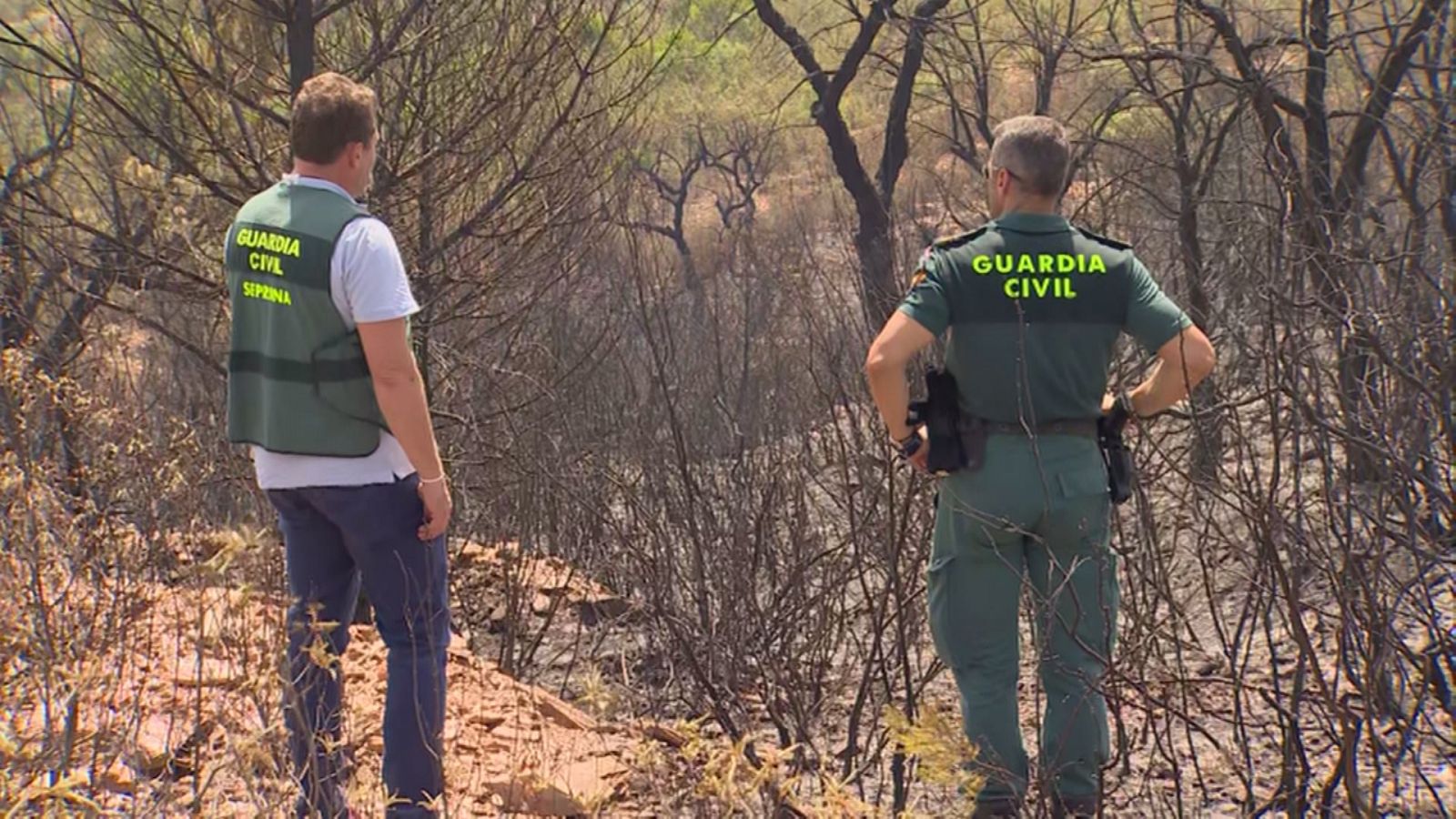 Incendio en Aznalcóllar (Sevilla) - Ver ahora