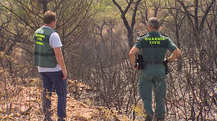 Noticias Andalucía - Incendio en Aznalcóllar (Sevilla)