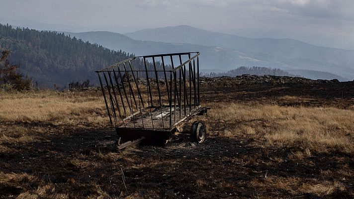 Telediario 1 - El fuego provoca un desastre económico y ambiental en varias aldeas de Lugo