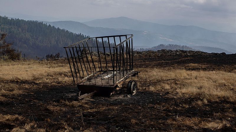 El fuego provoca un desastre económico y ambiental en varias aldeas de Lugo 