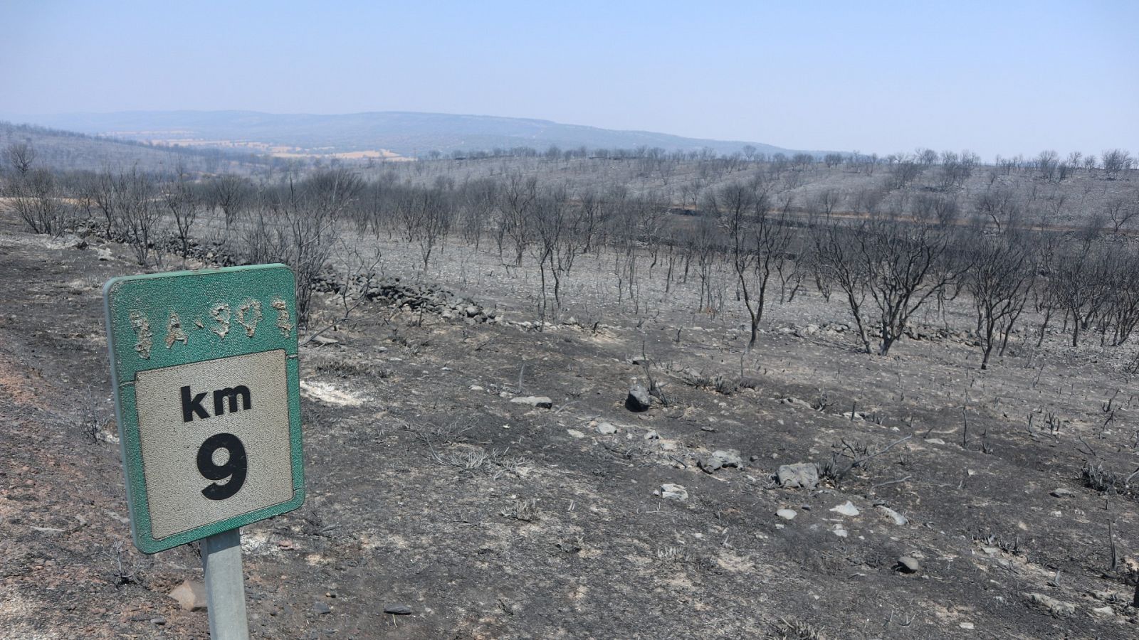 El incendio de Losacio, Zamora, podría ser el más extenso de la historia de España
