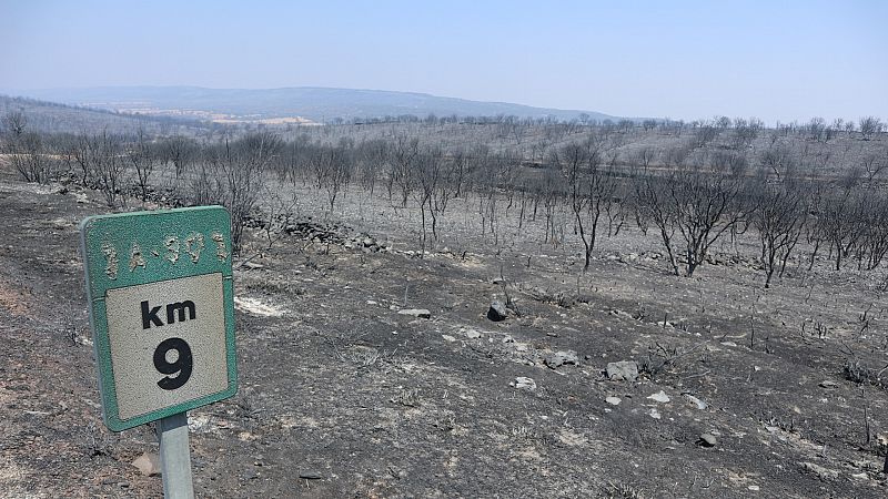 El incendio de Losacio, Zamora, podría ser el más extenso de la historia de España