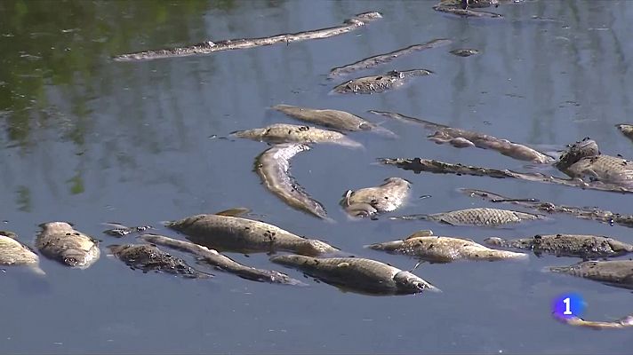 L'Informatiu - L'Informatiu 2 - 22/07/2022