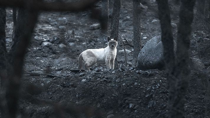 La tarde en 24h - La tarde en 24 horas - 22/07/22 (1)