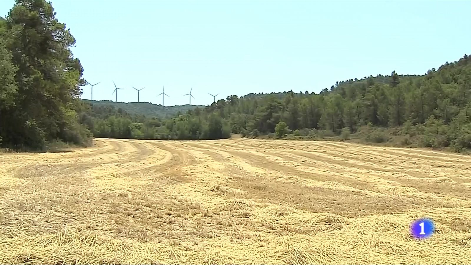 L'Informatiu - 23/07/2022 | RTVE Catalunya