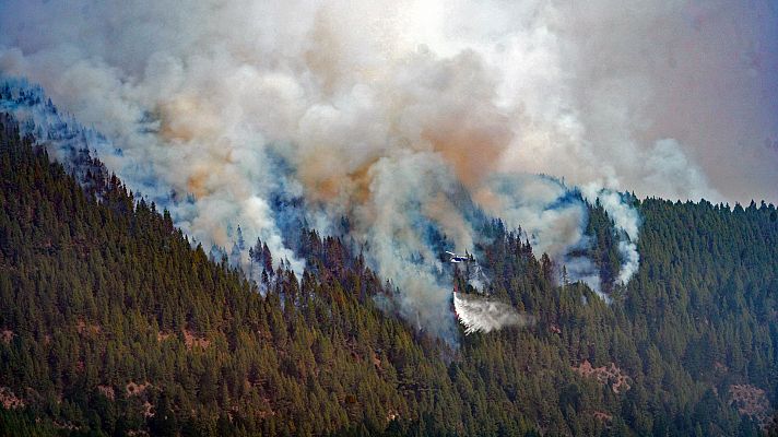 El incendio de Tenerife quema más de 2.000 hectáreas y alcanza el Parque Nacional del Teide