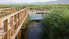 De parque en parque - Parque Nacional Las Tablas de Daimiel