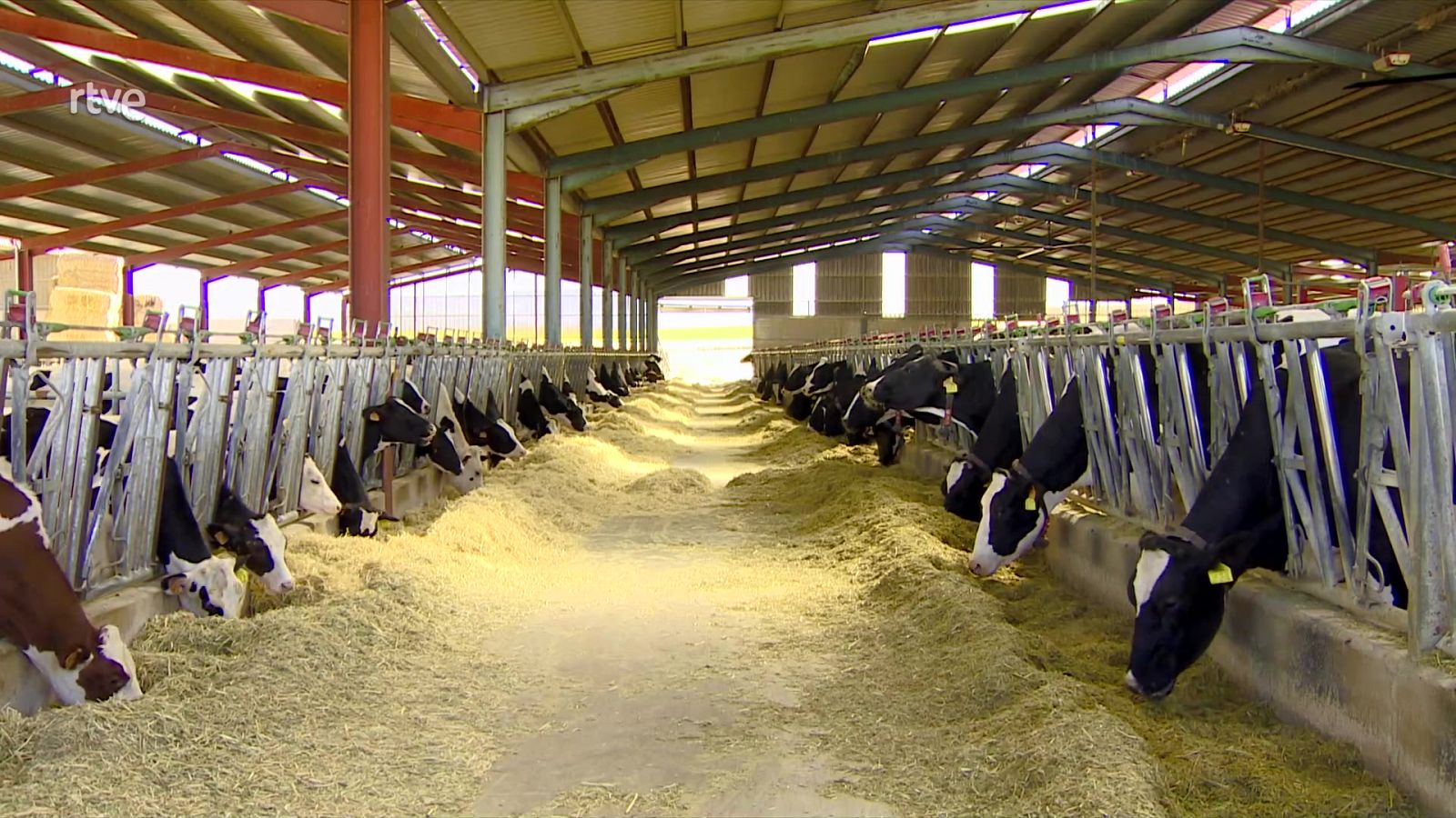 Informe Semanal - 23/07/22 - Lengua de signos - ver ahora