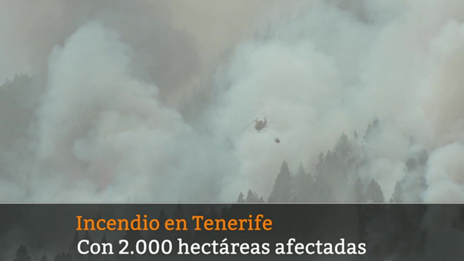 Telediario Internacional - 23/07/22 - ver ahora