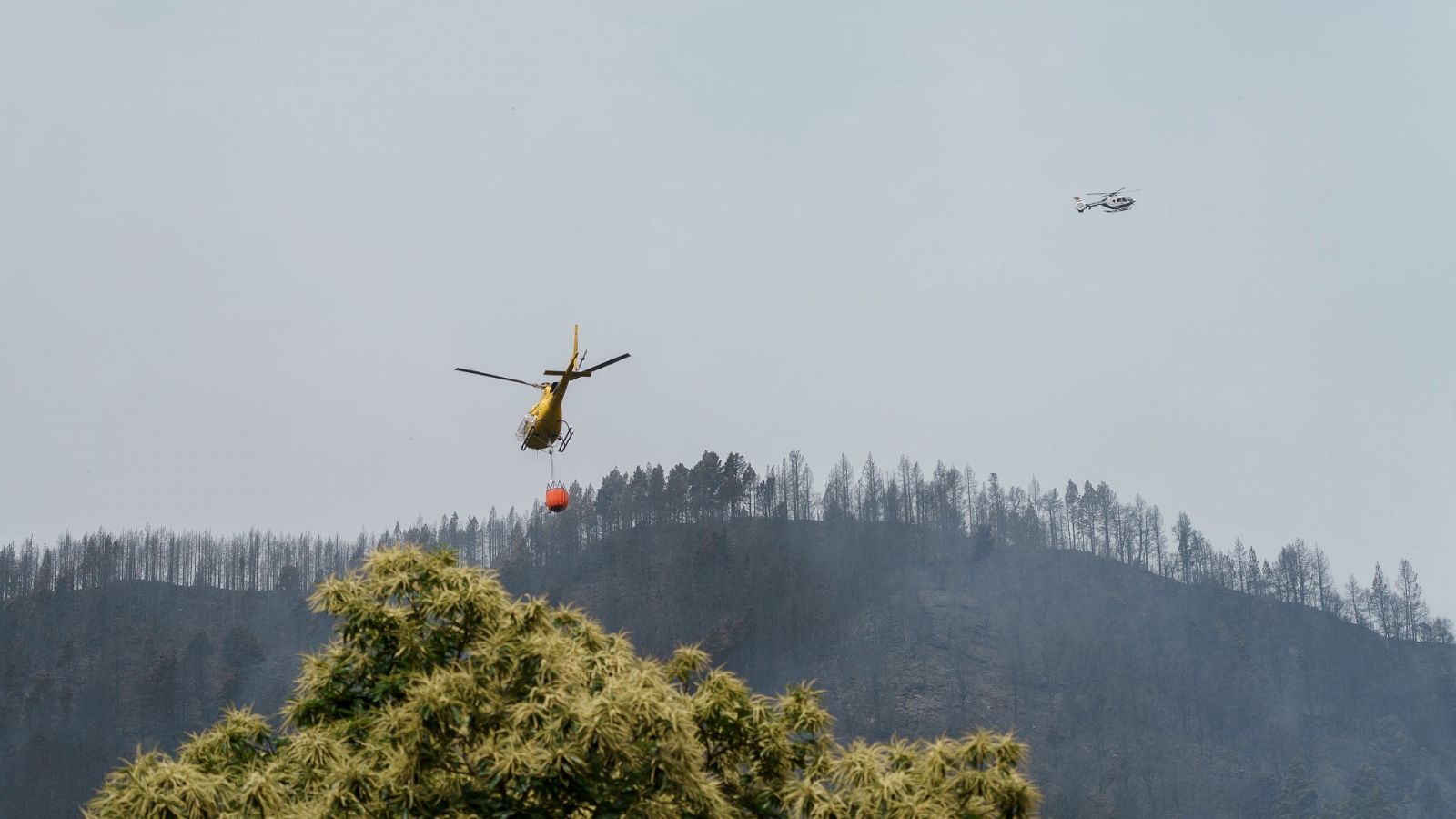 Incendios: El fuego avanza en Tenerife tras quemar más de 2.400 hectáreas