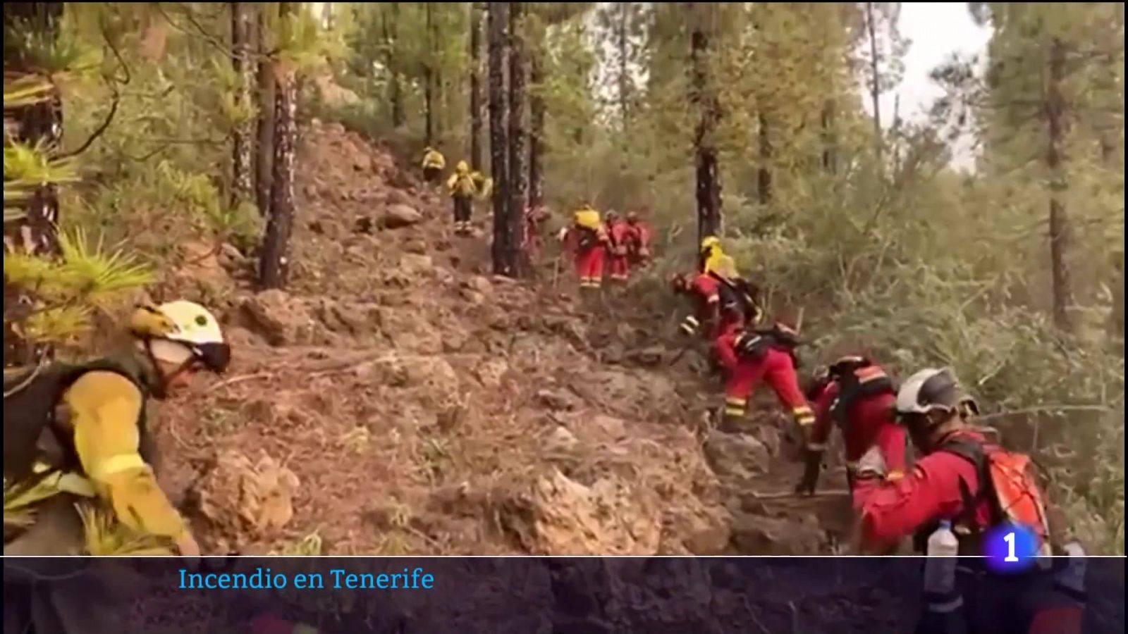 Telecanarias: Canarias en 2' - 24/07/2022           | RTVE Play