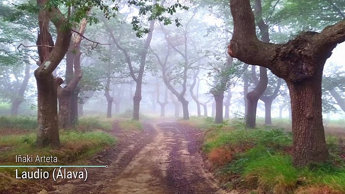 Salvo en el noroeste peninsular, temperaturas elevadas en la mayor parte del país