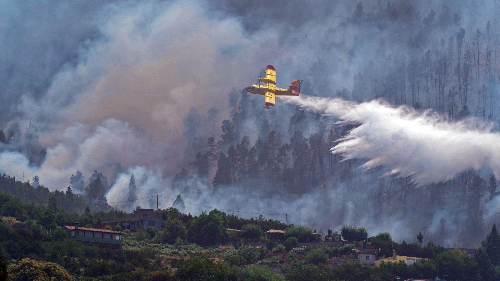 Telediario Internacional - 24/07/22 - ver ahora
