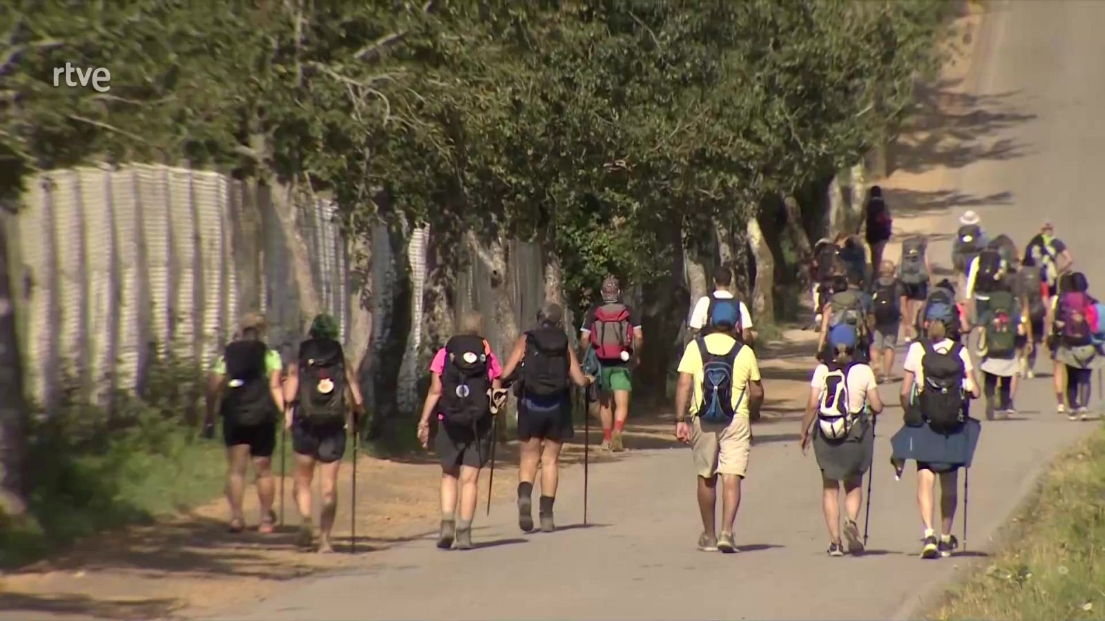 Telediario - 8 horas - 25/07/22 - Lengua de signos - ver ahora