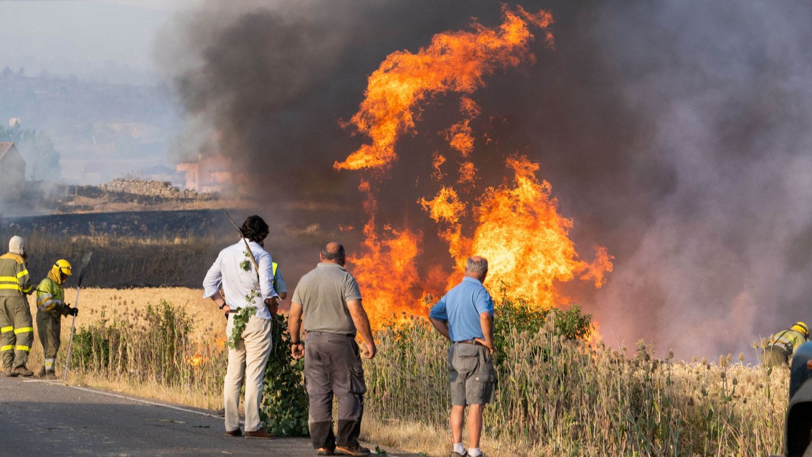 Diario 24 - 25/07/22 (1) - ver ahora
