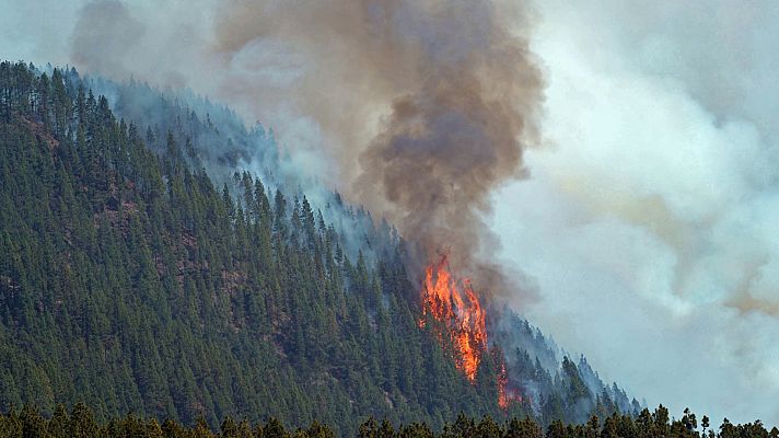 Diario 24 - Diario 24 - 25/07/22 (2)