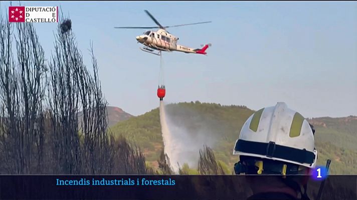 L'informatiu - Comunitat Valenciana - L'informatiu Comunitat Valenciana 1 25/07/2022