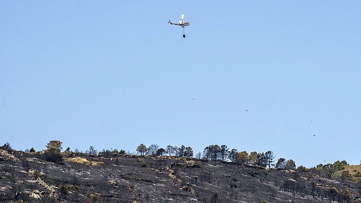 Telediario 1 - Telediario 1 en 4' - 25/07/22