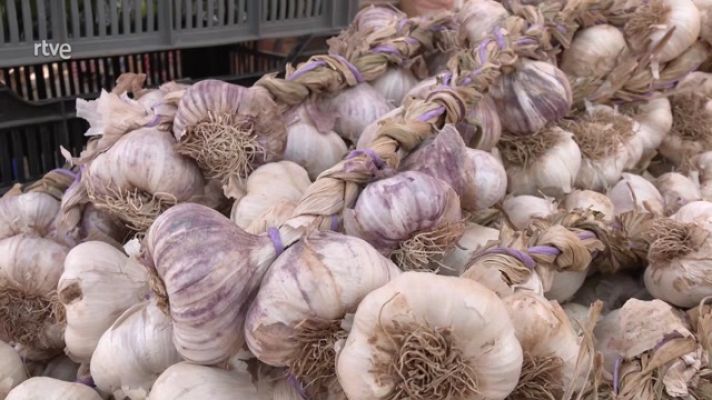 Aquí la Tierra - El ajo, de feria y trenzado