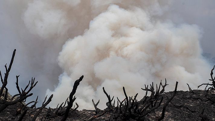 Telediario 1 - Los incendios producen toneladas de gases contaminantes