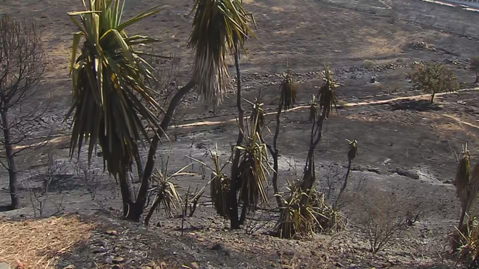 Incendios en Málaga