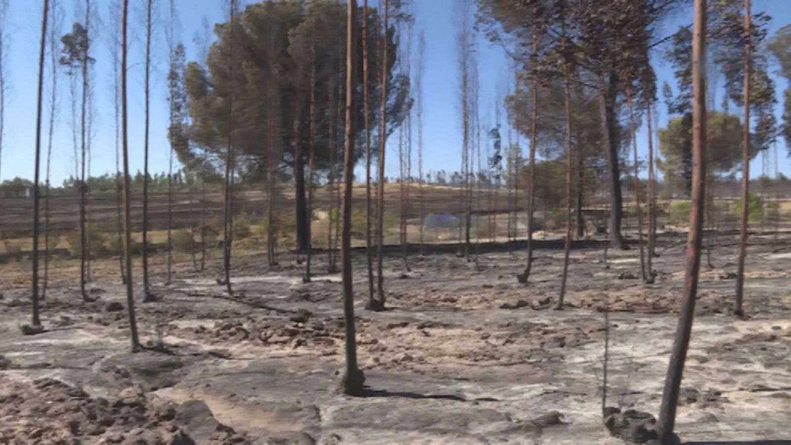 Incendios en Andalucía