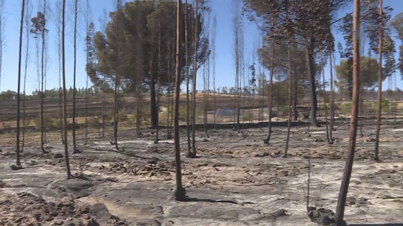 Incendios en Andalucía - Ver ahora