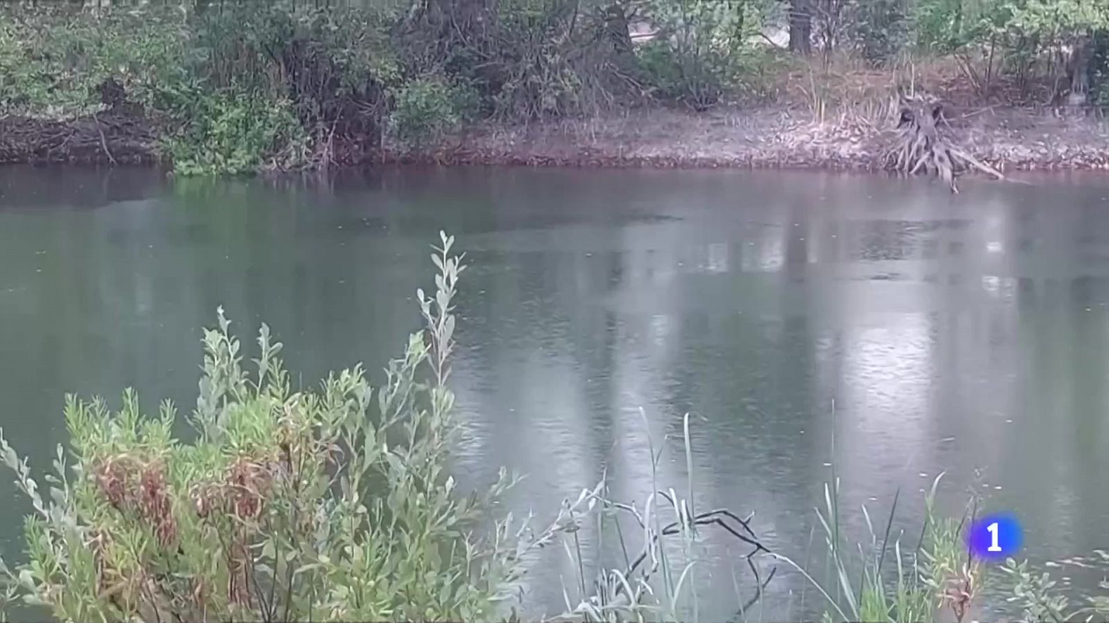 Alerta hidrològica: 150 municipis amb restriccions d'aigua