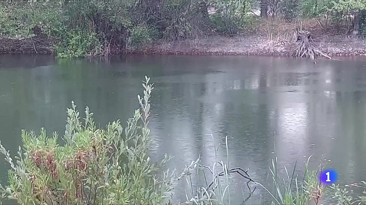 L'Informatiu - Alerta hidrològica: 150 municipis amb restriccions d'aigua