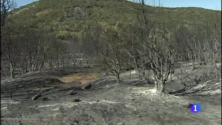 Noticias de Castilla y León - Castilla y León en 1' - 27/07/22