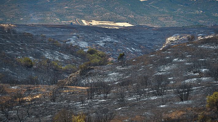 Telediario 1 - La ola de incendios en España pierde intensidad