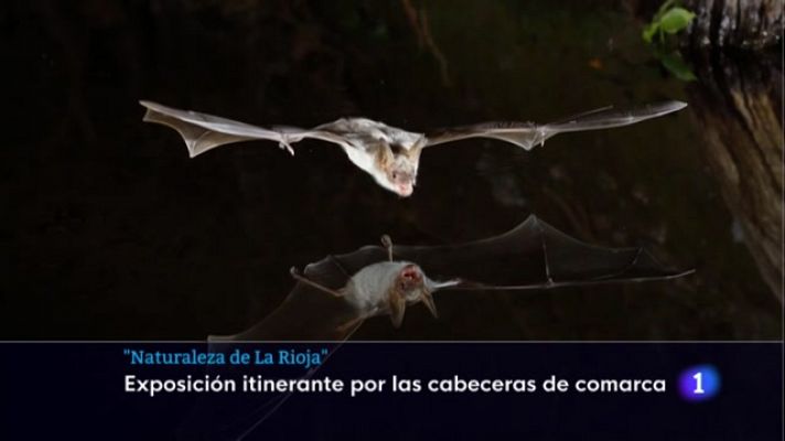 Informativo Telerioja - Informativo Telerioja 2 - 27/07/22