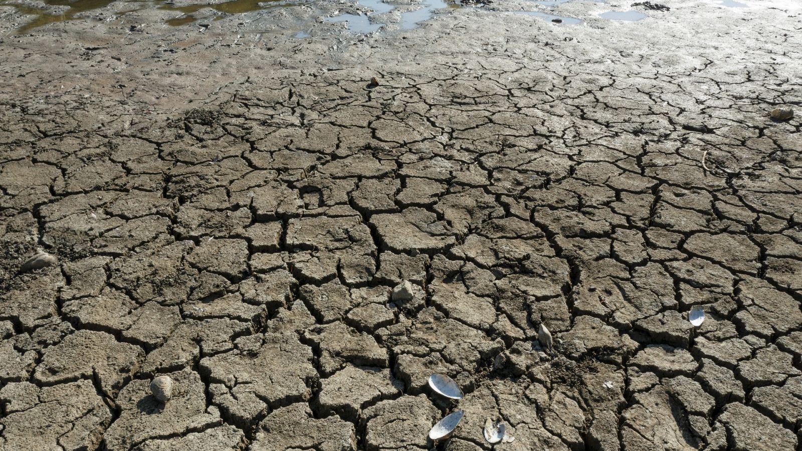 La tarde en 24 horas - 27/07/22 (1) - ver ahora