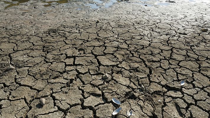 La tarde en 24h - La tarde en 24 horas - 27/07/22 (1)