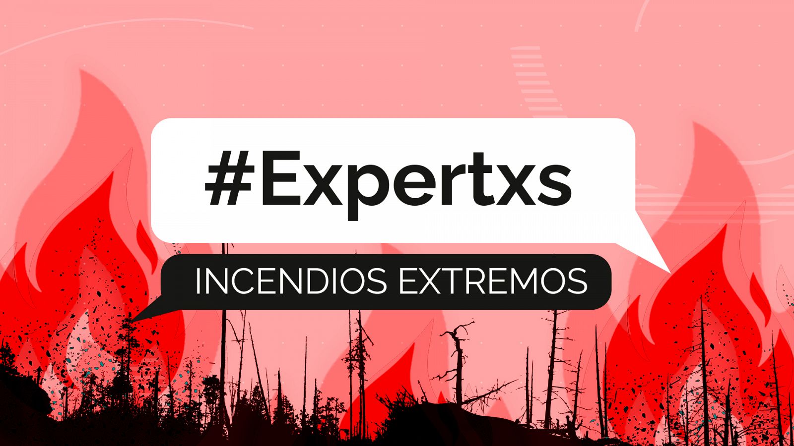 Incendios y cambio climático: ¿cómo será el ecosistema? - Modo Digital | Ver