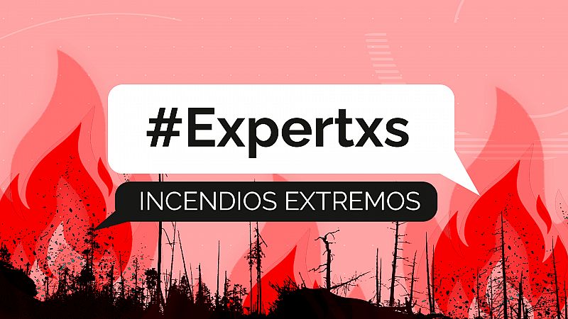 Incendios y cambio climático: ¿cómo será el ecosistema? - Modo Digital | Ver