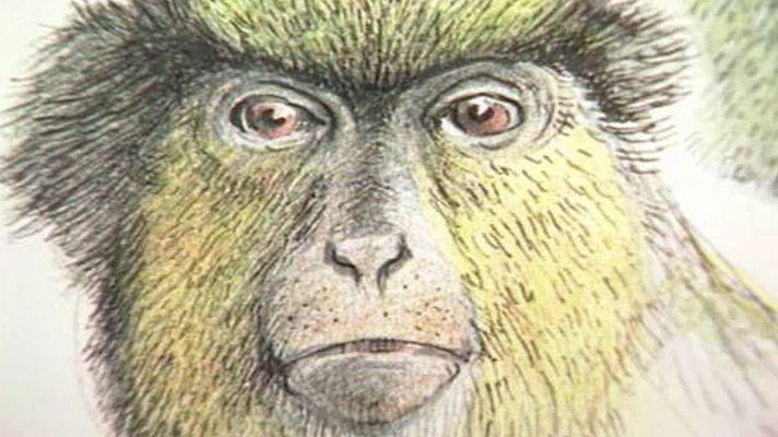 Arxiu TVE Catalunya - Exposició de dibuixos de Jordi Sabater Pi