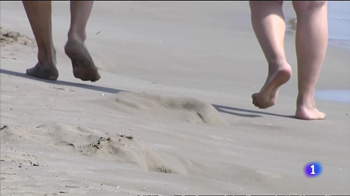 L'informatiu - Comunitat Valenciana - El Mediterrani continua escalfant-se, amb conseqüències per a la faura i flora marines