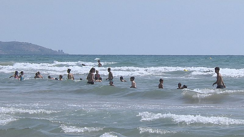 El Mediterrani continua escalfant-se, amb conseqüències per a la faura i flora marines