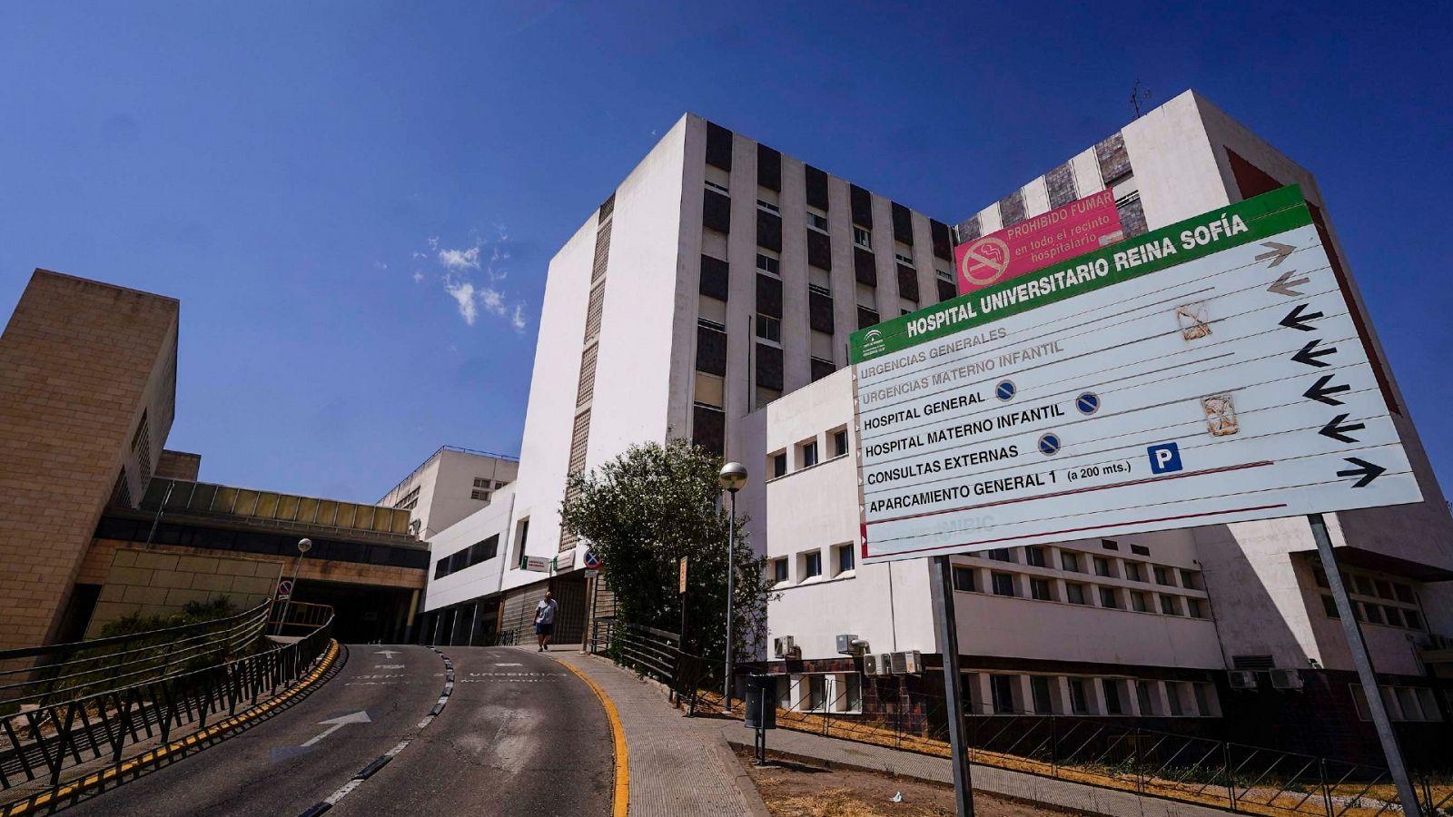 Investigan la relación entre la viruela del mono y la encefalitis | Ver