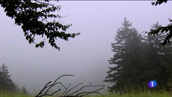 Noticias Andalucía - Valero, oro en Mountain Bike