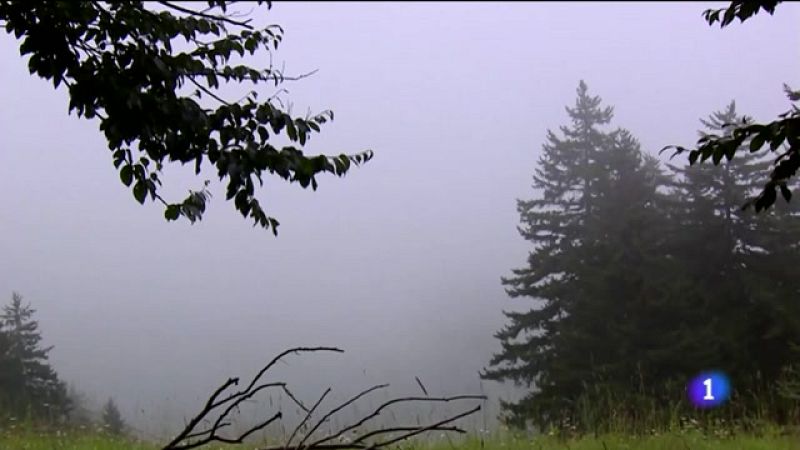 Valero, oro en Mountain Bike - Ver ahora