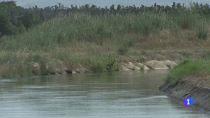 L'Informatiu - L'Informatiu - 03/08/2022